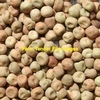 26 - 28/MT Good Field Peas for sale as Seed Farmer Dressed,
