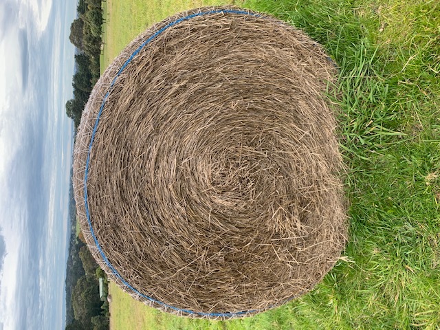 38 x Pasture Hay 4ft Rounds
