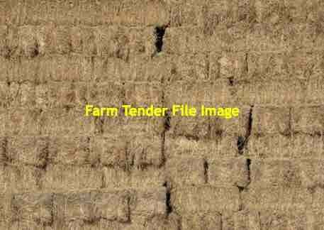 Pea Straw 290 Bales Available Seller to Freight