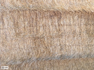 8x4x3 Straw Top Bales For Sale