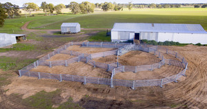 Brand New 1400 Head Permanent Sheep Yard System. (C/W 2 x Diamonds) Delivered to Victoria.