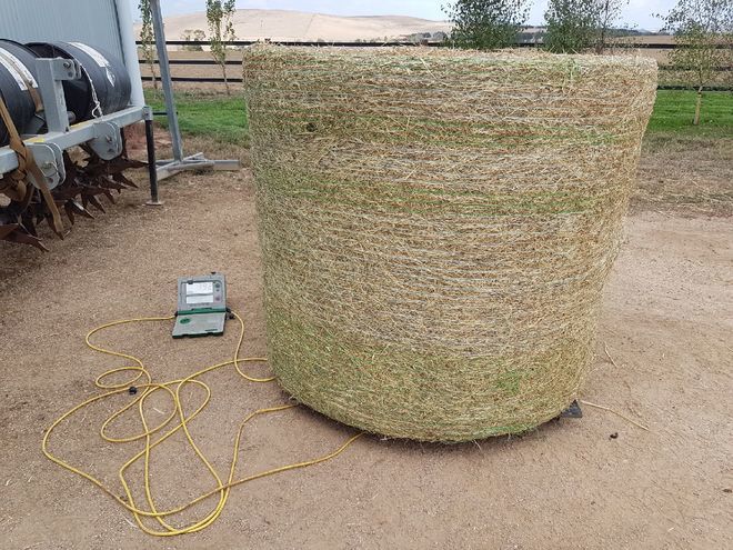 Shedded legume Based Pasture Hay Rolls For Sale Avge 400Kgs / Roll