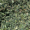 Prime Lucerne Small Squares