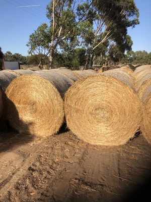 70 x Vetch/Rye/Wheat Hay 5x4 Rolls