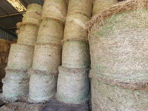 4x4 Mixed Grasses Rounds