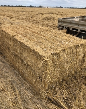 500mt Rice Straw 8x4x3 