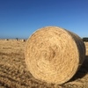 Wheaton Hay Round Bales