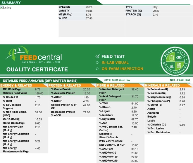 450mt Vetch Hay 600-750kg Bales ex farm
