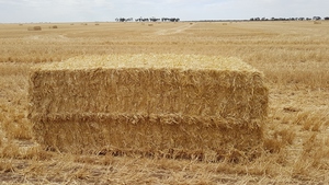 500mt Barley Straw (NEW SEASON 2019/2020)