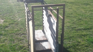 Jim Jet Automatic jetting race