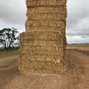 200mt Barley Hay 650-700kg 8x4x3 Bales