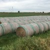 Wheaten hay - old crop 2019 - shedded