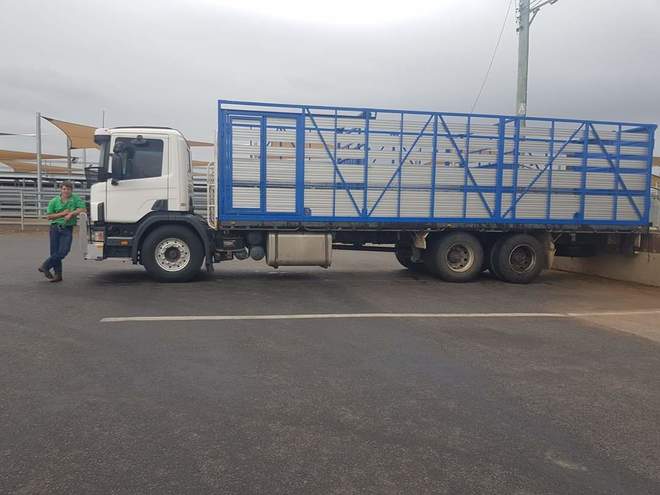 WANTED Dog or Pig trailer with Sheep decks 