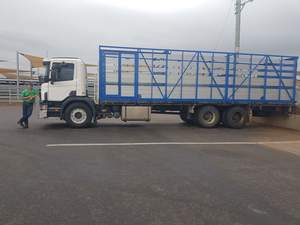 WANTED Dog or Pig trailer with Sheep decks 