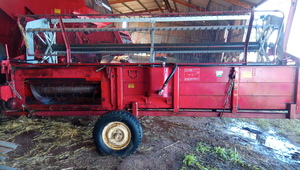 Massey Ferguson 5500 Header with Fronts