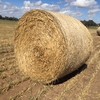 Wheaten Hay Round Rolls 5 x 4 