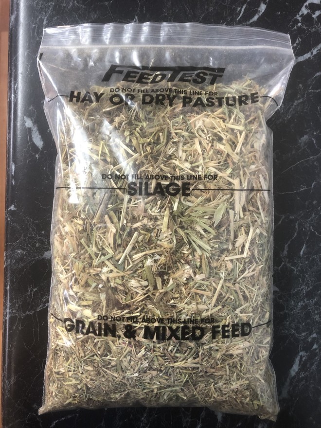 Rye / Clover 8x3x3 Square Bales approximately 470 - bales SOLD BY THE BALE