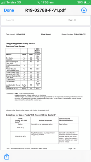 Canola Hay 1000 Bales
