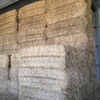 Wheaten straw (windrowed)