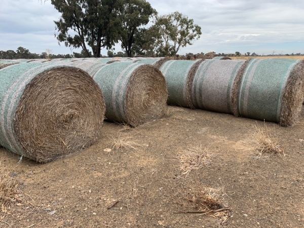 Wheaten Straw 5x4 Round Bales