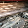 Mower Conditioner, MF 1375
