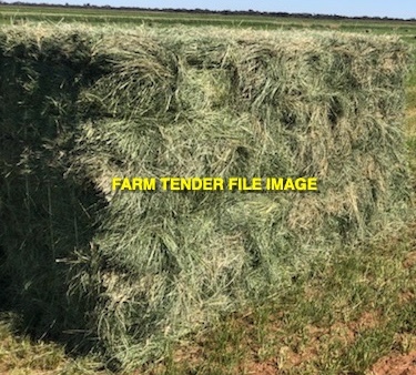 Teff Hay in Bale Baron packs
