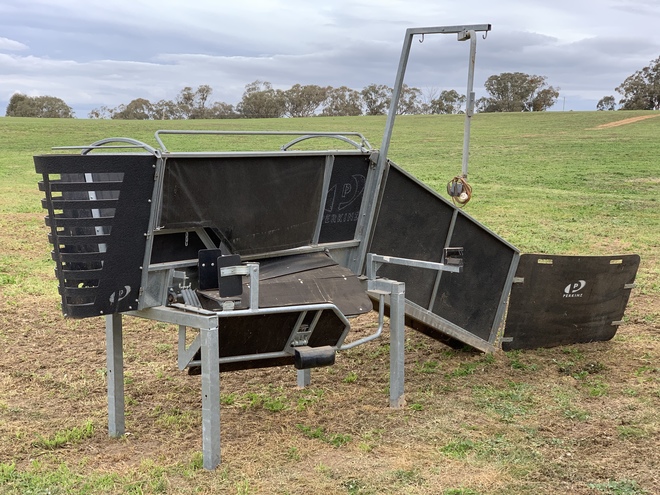 Perkinz Crutchmaster