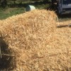20 Bales Barley Straw/Lucerne Sold Per Bale