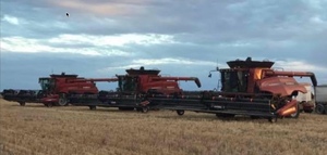 Contract Harvesting Wanted 2 Case machines Available