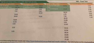 5x4 Rolls of Canola Hay ## Great Feed Test ##