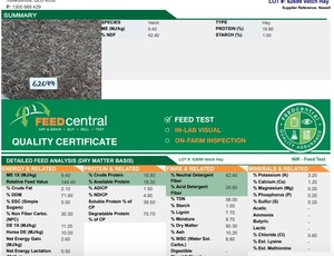 Vetch Hay 660kg 8x4x3 Bales