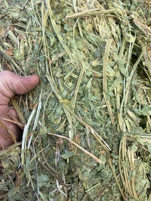 VETCH HAY – Rolls – A1 Quality