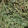 1000 x Lucerne Hay Small Bales - 2nd & 3rd cut - A grade