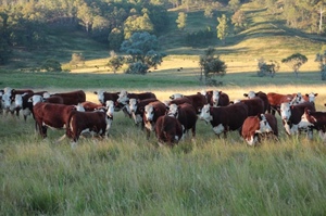 Lease Land - Grazing 