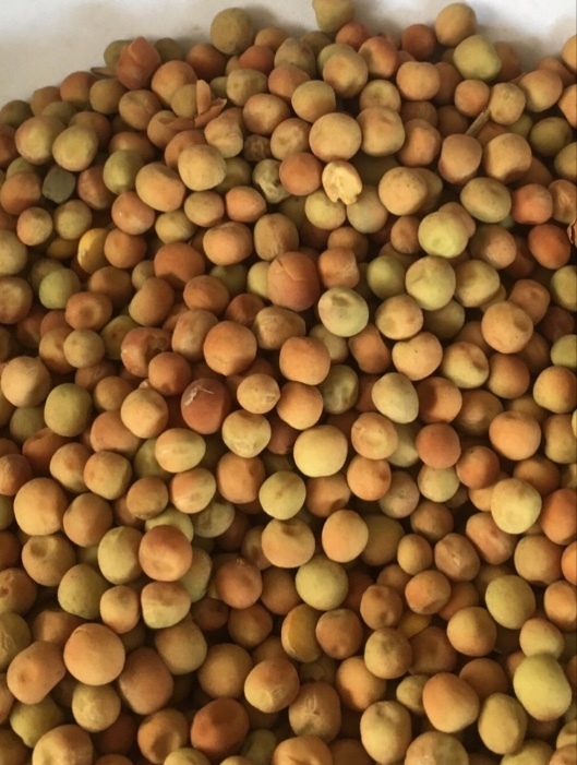 20-24mt Field Peas ex farm