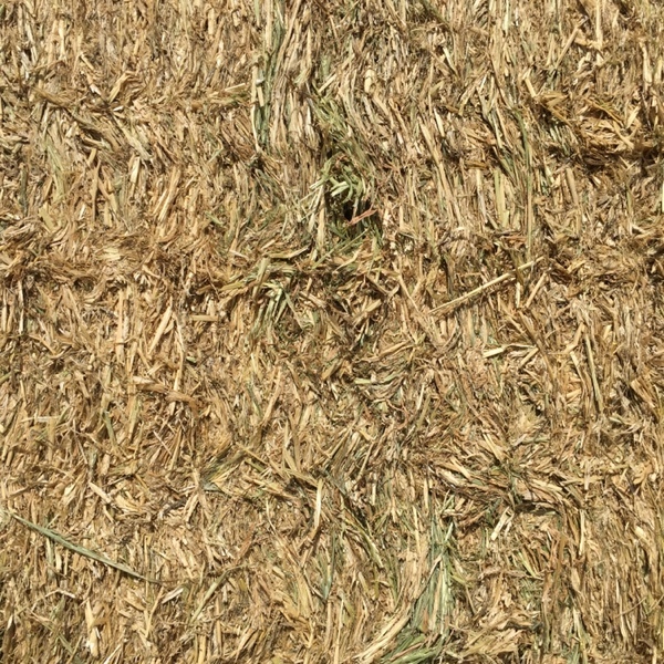 2 x B-Double Loads of  Barley Hay
