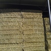 Clover Rye Hay 8x4x3 Bales