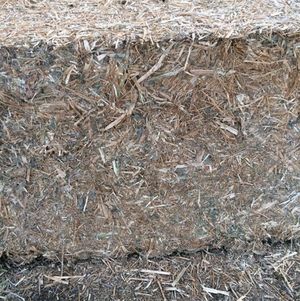 Canola Hay 650kg 8x4x3 Bales