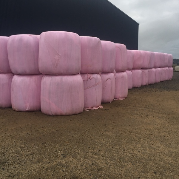4 x 4 Silage - Pasture Rye & Clover