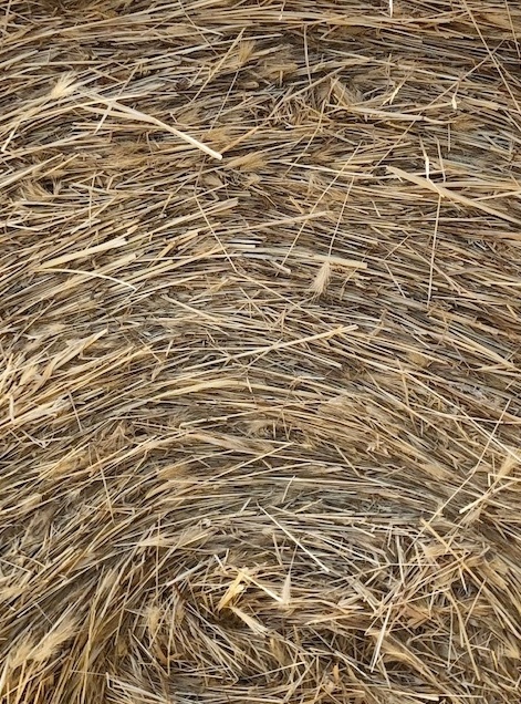 500 x Pasture Hay 5x4 Round Bales