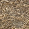 500 x Pasture Hay 5x4 Round Bales