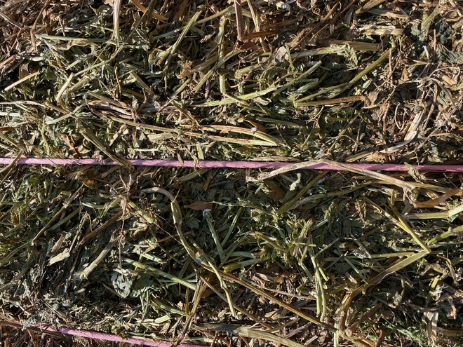 500mt New Season Vetch Hay 650kg 8x4x3 Bales
