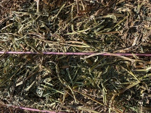 500mt New Season Vetch Hay 650kg 8x4x3 Bales