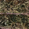 500mt New Season Vetch Hay 650kg 8x4x3 Bales
