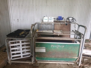Prattely pad 500 Autodrafter