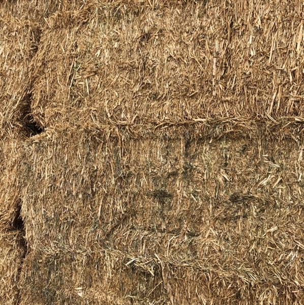190mt Canola Hay 500kg 8x4x3 Bales