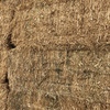 190mt Canola Hay 500kg 8x4x3 Bales