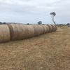 20 x hay rounds