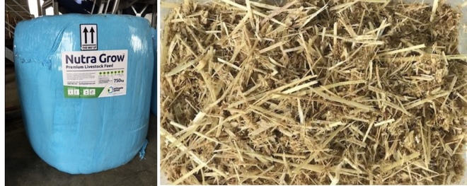 Castlegate James Nutra-grow *750kg Ensiled Bales* Available in Vic, SA and Southern NSW