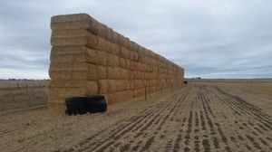 Header trailed wheaten straw  100 - 8x4x3 Bales - Sold By The Ton -